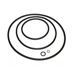 Reparatursatz O-Ringe für Speck BADU 90/Prime 7, 11 und 13 Poolpumpen