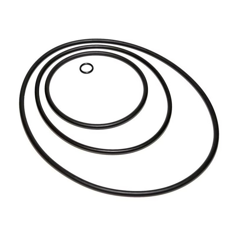 Reparatursatz O-Ringe für Speck Bettar und Speck BADU Top Poolpumpen