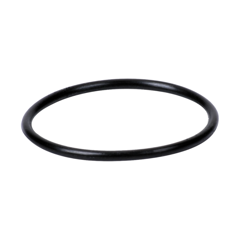 Hayward Dichtungsring für Starpump Pumpe