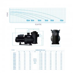  AstralPool Poolpumpe Victoria Plus Silent Filterpumpe Einphasig